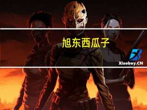 旭东 西瓜子 (话梅味)的热量是多少