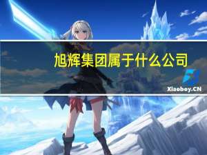 旭辉集团属于什么公司