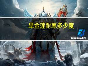 旱金莲耐寒多少度