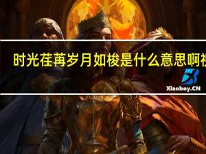 时光荏苒岁月如梭是什么意思啊 视频