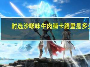 时选 沙嗲味牛肉脯卡路里是多少