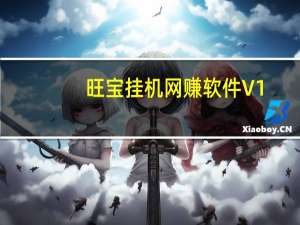 旺宝挂机网赚软件 V1.4.7 官方版（旺宝挂机网赚软件 V1.4.7 官方版功能简介）
