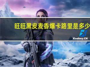 旺旺 黑皮麦香爆卡路里是多少