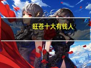 旺苍十大有钱人