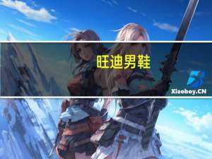 旺迪男鞋（旺迪简介）