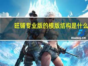 旺铺专业版的模版结构是什么（旺铺专业版）