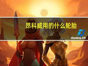 昂科威用的什么轮胎