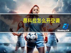 昂科拉怎么开空调