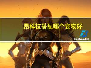 昂科拉搭配哪个宠物好