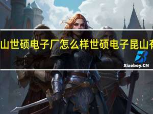 昆山世硕电子厂怎么样 世硕电子昆山有限公司