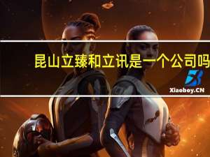 昆山立臻和立讯是一个公司吗