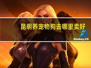 昆明养宠物狗去哪里卖好