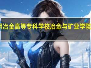 昆明冶金高等专科学校冶金与矿业学院综合概述