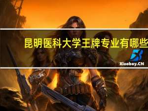 昆明医科大学王牌专业有哪些