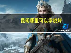 昆明哪里可以学烧烤