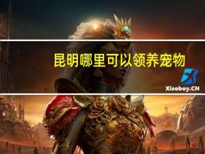 昆明哪里可以领养宠物