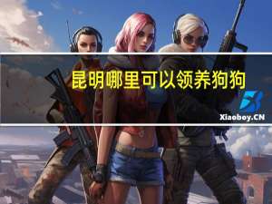 昆明哪里可以领养狗狗