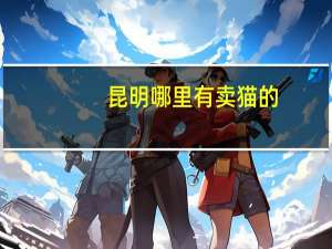 昆明哪里有卖猫的