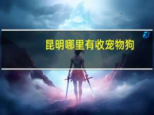 昆明哪里有收宠物狗