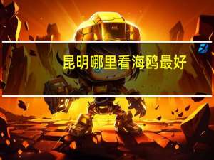 昆明哪里看海鸥最好？