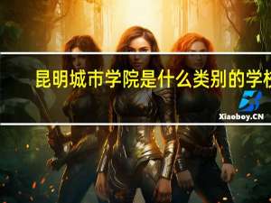 昆明城市学院是什么类别的学校
