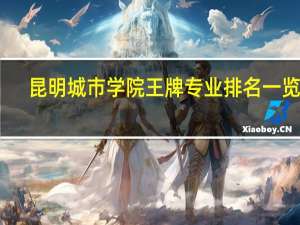 昆明城市学院王牌专业排名一览表
