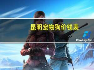 昆明宠物狗价钱表