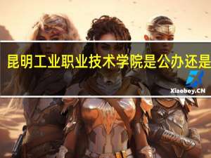 昆明工业职业技术学院是公办还是民办