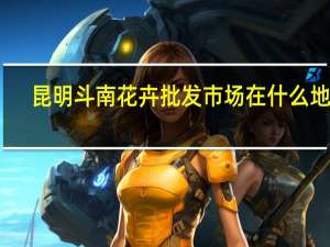 昆明斗南花卉批发市场在什么地方
