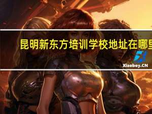 昆明新东方培训学校地址在哪里