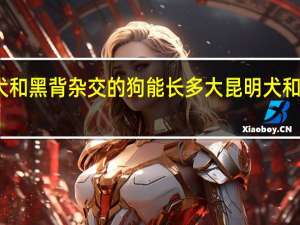 昆明犬和黑背杂交的狗能长多大 昆明犬和黑背的区别