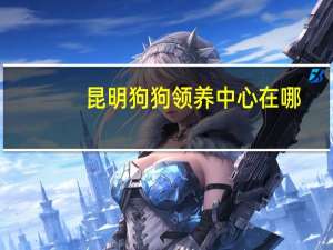 昆明狗狗领养中心在哪