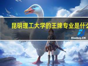 昆明理工大学的王牌专业是什么