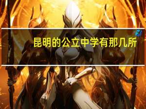 昆明的公立中学有那几所