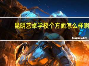 昆明艺卓学校个方面怎么样啊