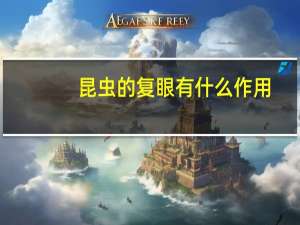 昆虫的复眼有什么作用