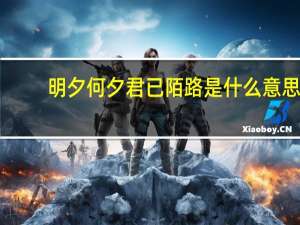 明夕何夕君已陌路是什么意思