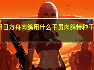 明日方舟肉鸽用什么干员 肉鸽特种干员推荐