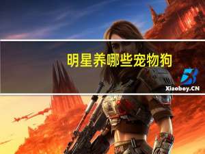 明星养哪些宠物狗