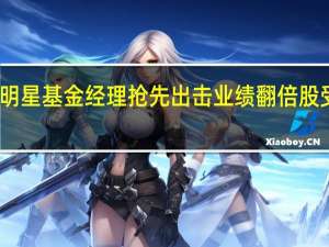 明星基金经理抢先出击 业绩翻倍股受追捧