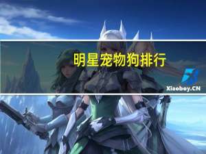 明星宠物狗排行