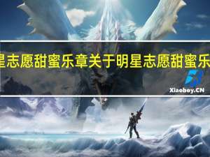 明星志愿甜蜜乐章 关于明星志愿甜蜜乐章的介绍