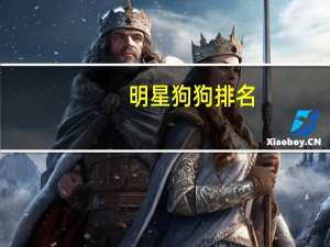 明星狗狗排名