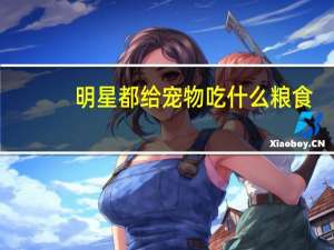 明星都给宠物吃什么粮食