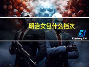 明治女包什么档次