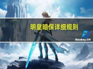 明皇暗保详细规则