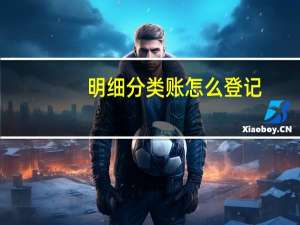 明细分类账怎么登记