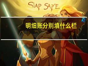 明细账分别填什么栏