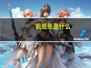 明细账是什么