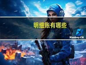 明细账有哪些（明细账）